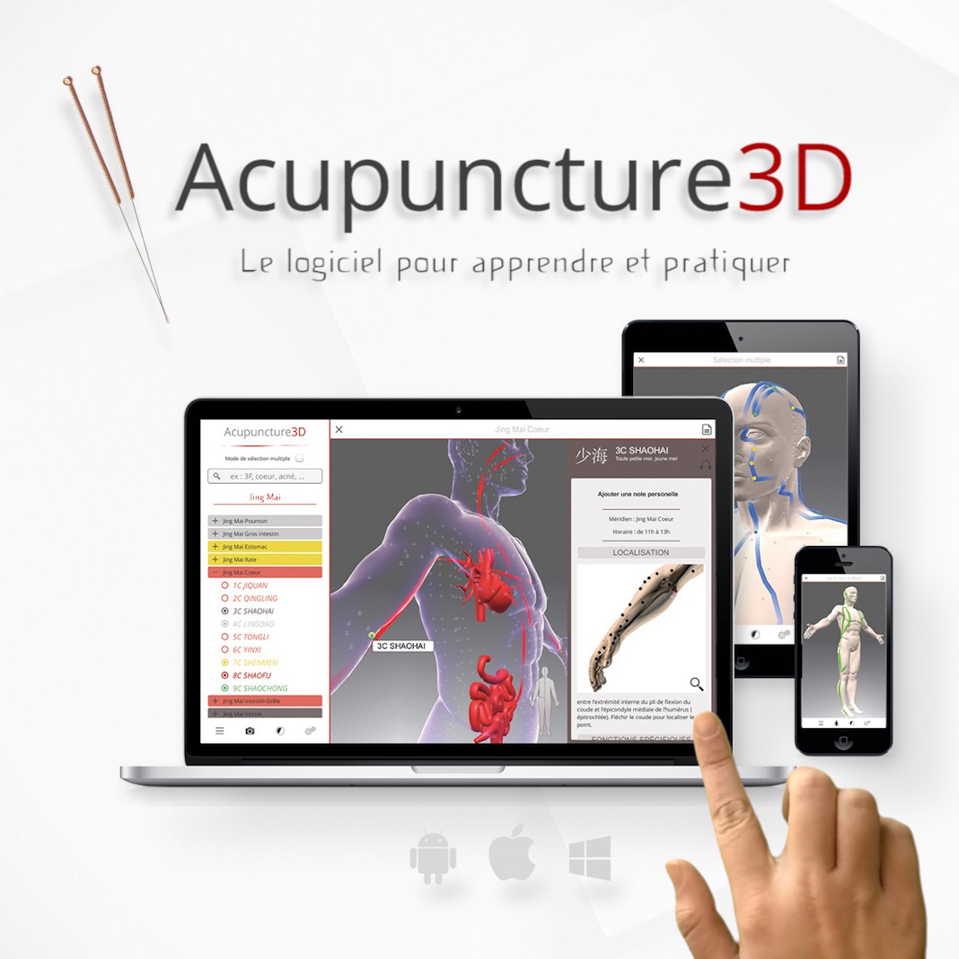 Acupuncture 3d Planeta Verd