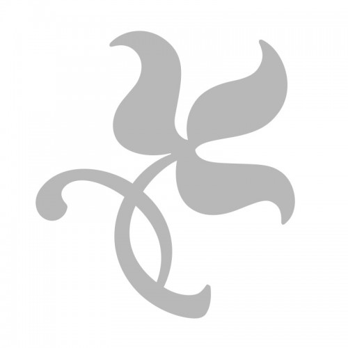 Ylang-Ylang essential oil