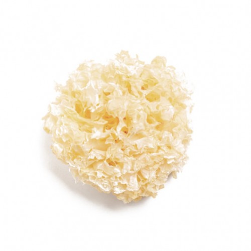 SI ER/BAI MU ER Tremella fuciformis 10gr