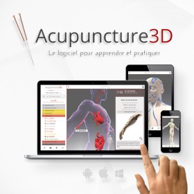 Acupuncture 3D