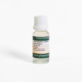 Eucalyptus Radiata essential oil