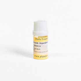 Helichrysum essential oil