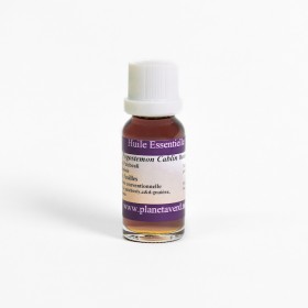 Patchouli essential oil