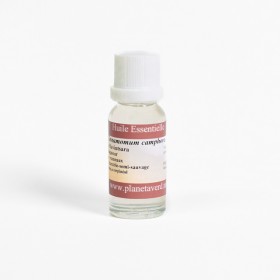 Ravintsara essential oil