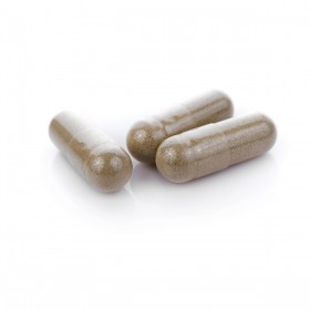 BAI HE GU JIN TANG by PV herbs capsules