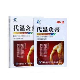 Dai Wen - 8 warm patches (moxa substitute)