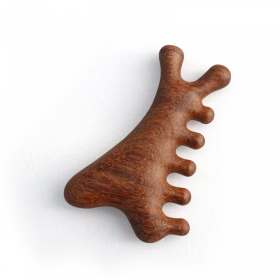 Gua sha with 5 points and 2 ends