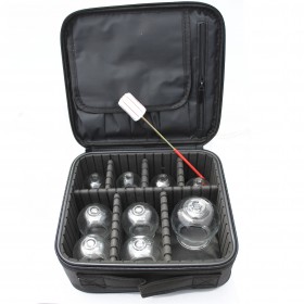 Kit of 9 glass cups with a hard case