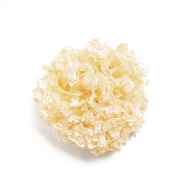 SI ER/BAI MU ER Tremella fuciformis 10gr