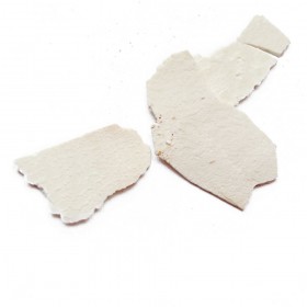 FU LING/YU LING - Poria cocos sclerotium 100gr