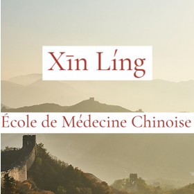 Kit étudiant XIN LING 3ème année