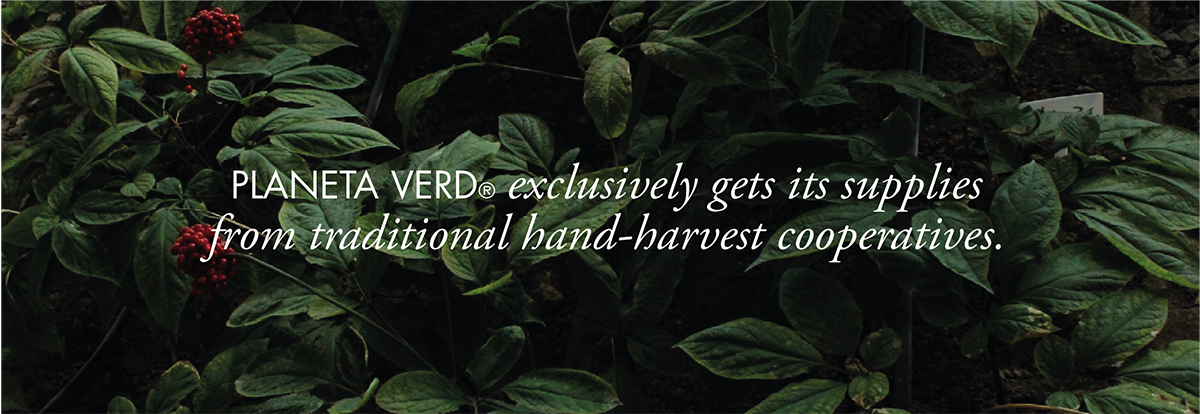 Traditional hand-harvest cooperatives